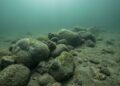 Estrutura Blinkerwall aparece submersa no fundo do Mar Báltico