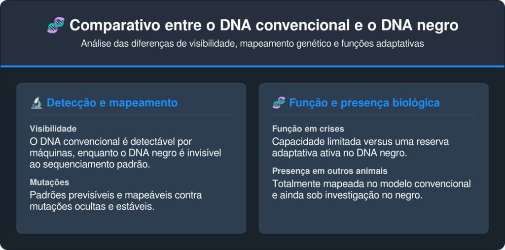Cientistas encontraram um DNA escondido nas aves que as máquinas não conseguiam enxergar e ele explica por que alguns pássaros nunca somem da Terra
