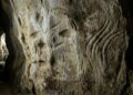 Parede gravada de La Roche-Cotard revela marcas neandertais antigas