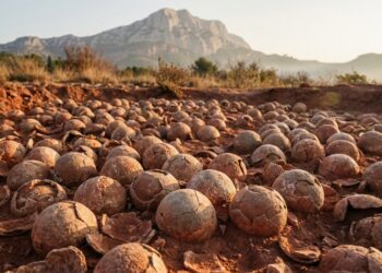 Ovos de dinossauros fossilizados surgindo no barro vermelho da Provença