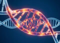 A fascinante descoberta genética de até 19% de genoma misterioso na população moderna pertencente a hominídeos desconhecidos de 50.000 anos