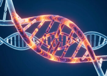 A fascinante descoberta genética de até 19% de genoma misterioso na população moderna pertencente a hominídeos desconhecidos de 50.000 anos