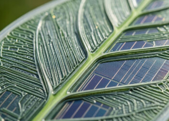 O dispositivo de silício que realiza fotossíntese artificial com eficiência 10 vezes maior que as plantas comuns para gerar energia totalmente limpa