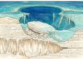 Ilustração mostra caverna seca, colapso e inundação que formaram o buraco azul