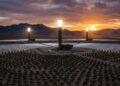Fechamento da usina solar térmica de Ivanpah por incineração de pássaros