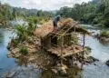 Técnicas de sobrevivência na selva e construção de abrigo de bambu