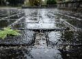 O piso drenante moderno que virou tendência nos quintais