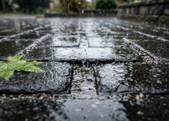O piso drenante moderno que virou tendência nos quintais