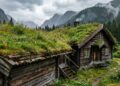 A arquitetura bioclimática comprova que as casas protegidas há 1000 anos com a tradição escandinava de plantar florestas inteiras no telhado não se tornam cavernas infiltradas de água elas desenvolvem silenciosamente algo que as telhas modernas nunca conseguirão oferecer a capacidade biológica de criar uma manta térmica viva que suga o peso das tempestades e anula o congelamento interno sem usar polímeros