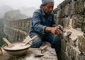 A química dos materiais revela que as muralhas seladas há 1500 anos com a antiga receita chinesa de sopa de arroz pegajoso não se tornam estruturas esfareladas pela chuva elas desenvolvem silenciosamente algo que a maioria dos cimentos industriais nunca conseguirá oferecer a capacidade molecular de fundir os blocos de pedra numa matriz impenetrável capaz de barrar terramotos e raízes de árvores