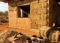 Casa de fardos de palha mostra parede grossa com reboco de barro