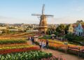 500 imigrantes holandeses e um moinho de 38 metros: a cidade que produz 40% das flores do Brasil em 130 km da capital paulista