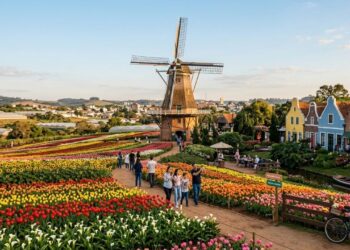 500 imigrantes holandeses e um moinho de 38 metros: a cidade que produz 40% das flores do Brasil em 130 km da capital paulista