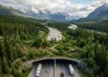 Arcos de aço, solo nativo e vegetação densa formam a ponte florestada canadense focada em guiar ursos e zerar acidentes de trânsito