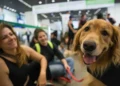 Foto: Fabio Rodrigues-Pozzebom/ Agência Brasil