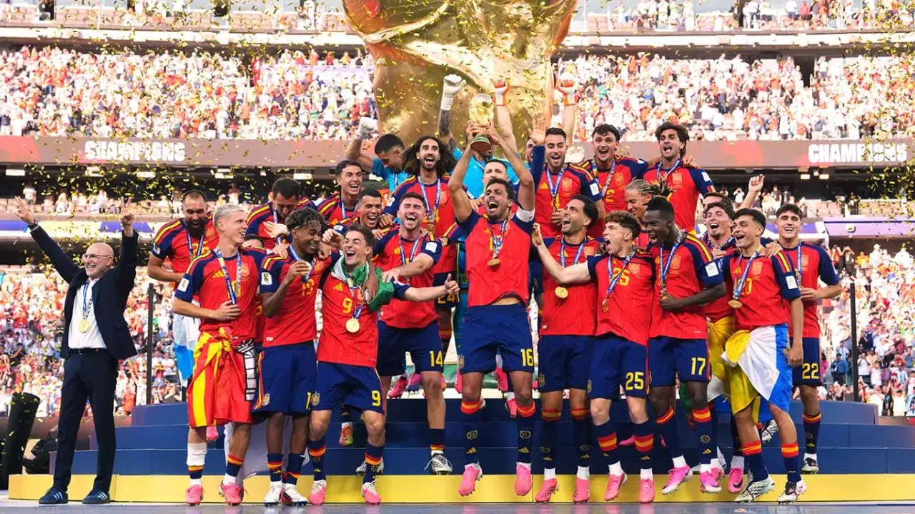 copa do mundo (2)
