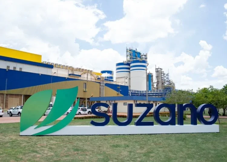 Suzano