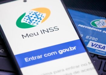 INSS - MEI