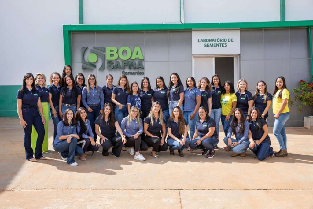 boa safra