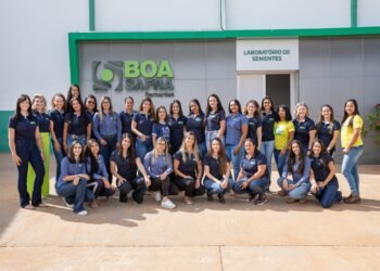 boa safra