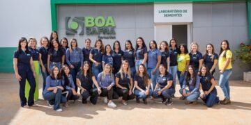 boa safra