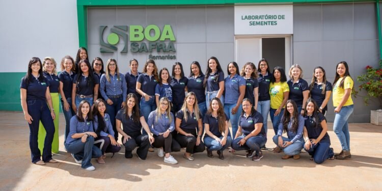 boa safra