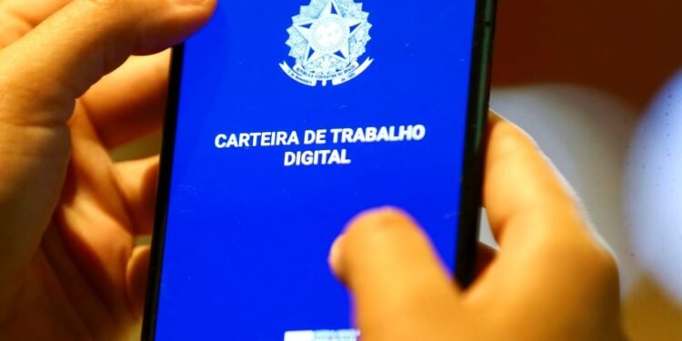 Aplicativo da Carteira de Trabalho Digital aberto no celular enquanto uma pessoa segura o aparelho com as mãos.