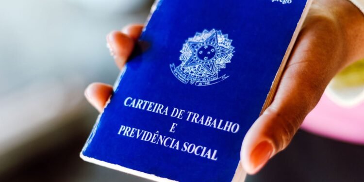 salário mínimo e bpc