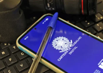 trabalho pnad carteira